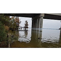 Williamsburg/James Cty King Tide image